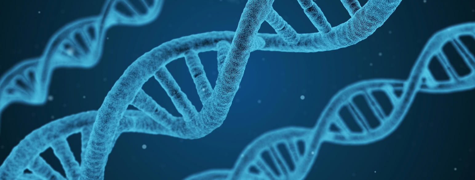 DNA-strongur